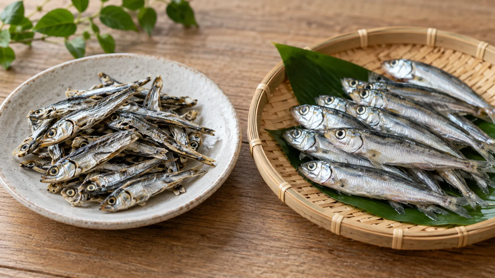 乾燥した煮干しと生の魚を並べて比較するイメージ写真